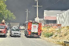 Wildfire In Izmir - Turkey