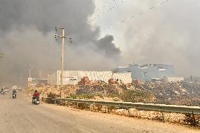 Wildfire In Izmir - Turkey