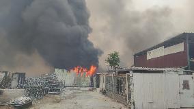 Wildfire In Izmir - Turkey