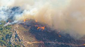 Wildfire In Izmir - Turkey