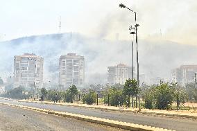 Wildfire In Izmir - Turkey