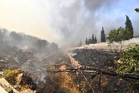 Wildfire In Izmir - Turkey