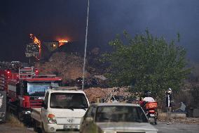 Wildfire In Izmir - Turkey