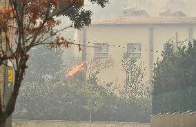 Wildfire In Izmir - Turkey