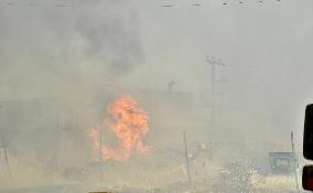 Wildfire In Izmir - Turkey