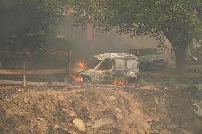 Wildfire In Izmir - Turkey