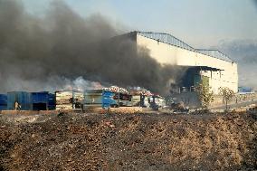 Wildfire In Izmir - Turkey