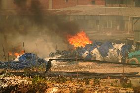 Wildfire In Izmir - Turkey