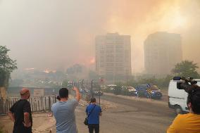 Wildfire In Izmir - Turkey