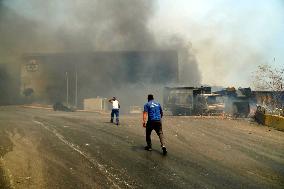 Wildfire In Izmir - Turkey