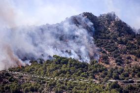 Wildfire In Izmir - Turkey