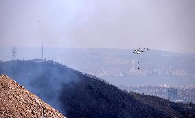 Wildfire In Izmir - Turkey