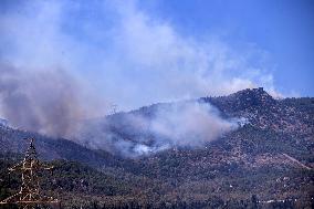 Wildfire In Izmir - Turkey