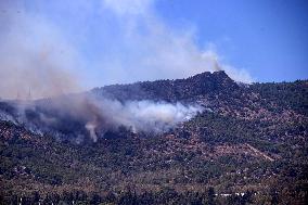 Wildfire In Izmir - Turkey