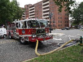 Washington DC Fire Department Rescues Dogs And Puppies From A Burning Building