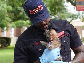 Washington DC Fire Department Rescues Dogs And Puppies From A Burning Building