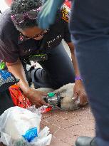 Washington DC Fire Department Rescues Dogs And Puppies From A Burning Building