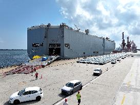 Vehicles Export at Lianyungang Port