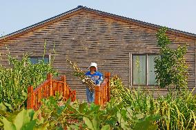 Bigen fruit seedling breeding base in Suqian