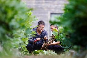 Bigen fruit seedling breeding base in Suqian