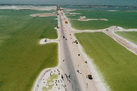 Tourists Visit Qarhan Salt Lake in Haixi