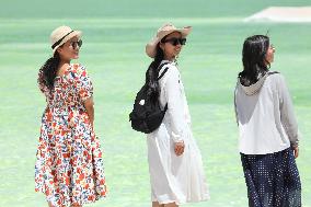 Tourists Visit Qarhan Salt Lake in Haixi