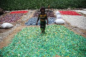 Workers collects polythene in Dhaka