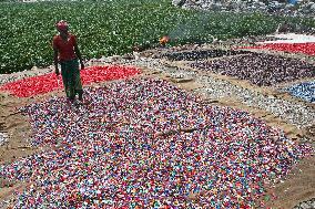 Workers collects polythene in Dhaka