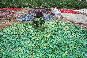 Workers collects polythene in Dhaka