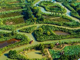 Hongze Lake Wetland Maze in Huai 'an