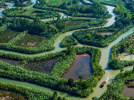 Hongze Lake Wetland Maze in Huai 'an