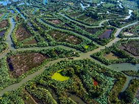 Hongze Lake Wetland Maze in Huai 'an