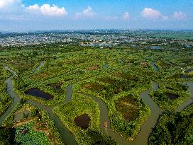 Hongze Lake Wetland Maze in Huai 'an