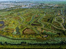 Hongze Lake Wetland Maze in Huai 'an