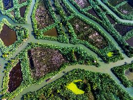 Hongze Lake Wetland Maze in Huai 'an