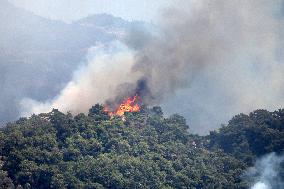 Wildfires In Izmir - Turkey