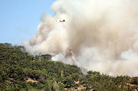 Wildfires In Izmir - Turkey