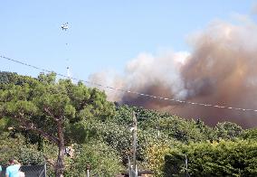 Wildfires In Izmir - Turkey