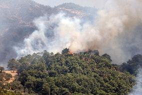 Wildfires In Izmir - Turkey