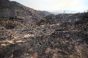 Wildfires In Izmir - Turkey