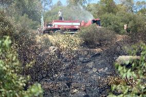 Wildfires In Izmir - Turkey