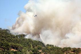 Wildfires In Izmir - Turkey