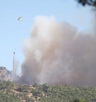 Wildfires In Izmir - Turkey