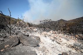 Wildfires In Izmir - Turkey