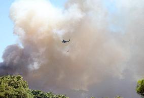 Wildfires In Izmir - Turkey