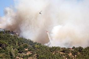 Wildfires In Izmir - Turkey