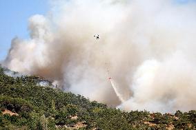 Wildfires In Izmir - Turkey