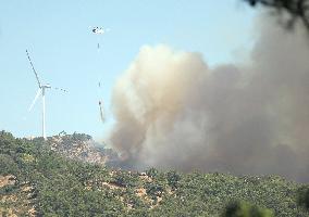 Wildfires In Izmir - Turkey