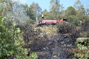 Wildfires In Izmir - Turkey