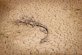 Drought In Catalonia